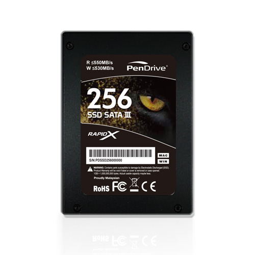 PenDrive SSD RapidX