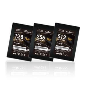 PenDrive SSD RapidX